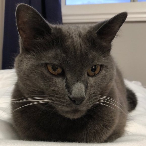 Meet your Posher, Christine - Picture 2 of 2